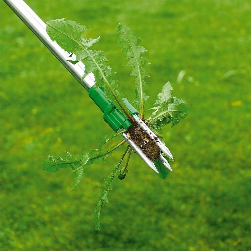 Havendro Stainless Steel Manual Weed Puller Twister Claw in Green – 2