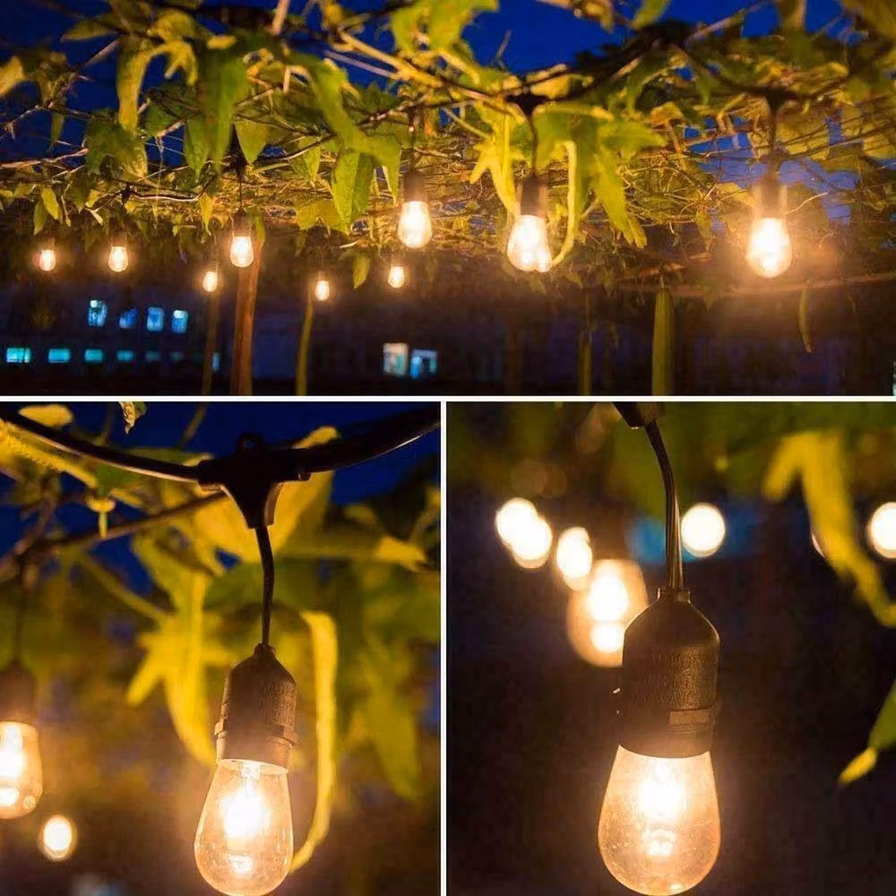 VOGREX 30m Mains Powered LED Festoon String Lights with Warm White Transparent Glass Bulbs – 3