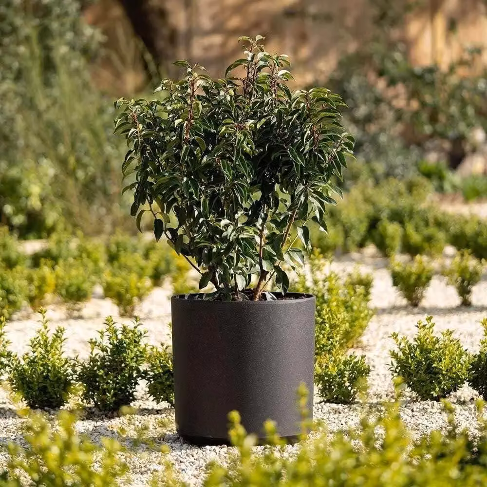 Primrose Black Plastic Cylinder Outdoor Planter Pot, Diameter: 28 cm – 2