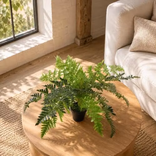 Botanik Premium Artificial Potted Fern Grass in Green, H 70 cm x W 50 cm x D 50 cm – 2