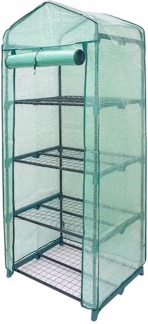 NESTLUNE 4 Tier Mini Greenhouse Small Plant Grow House, Green, W: 100 cm, D: 15 cm, H: 15 cm