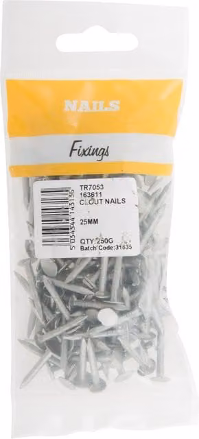 Hiatt 25mm Broad Flat Clout Nails, Silver