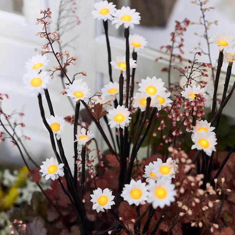 30 LED Daisy Solar Stake Lights in Warm White
