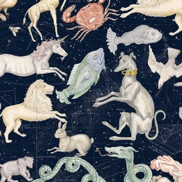 House of Hackney Cosmos Midnight Abstract Vintage Animal and Map Wallpaper in Blue and Multicolour