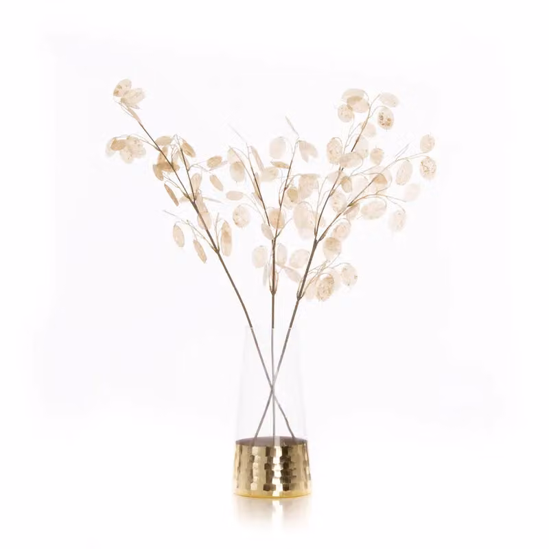 Scottish Everlastings Ltd Honesty Spray, 3 Pack, Beige, Height: 76 cm – 2