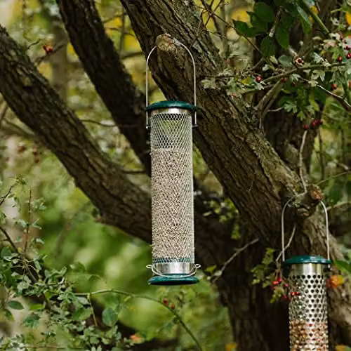 Peckish 60053033 All Weather Sunflower Heart Metal Bird Feeder, Large, Blue and Black – 4