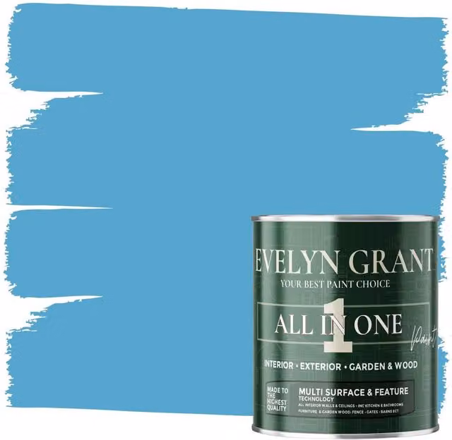 Evelyn Grant All-In-One Multi-Surface Indoor and Outdoor Matt Paint, Swimming Pool Blue, 2.5L – 1