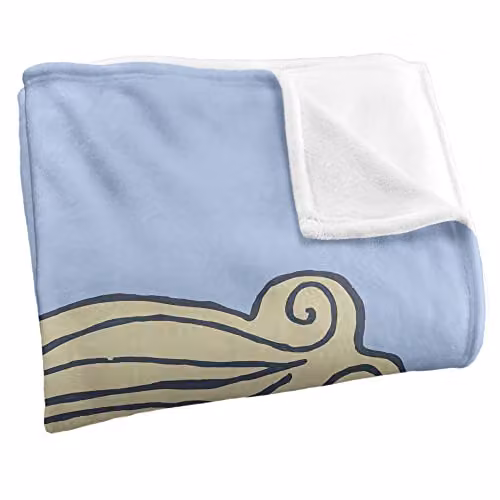Warner Bros. Friends The Gold Frame Super Soft Silky Touch Fleece Throw Blanket, Multicolour, W: 91 cm, D: 147 cm – 2