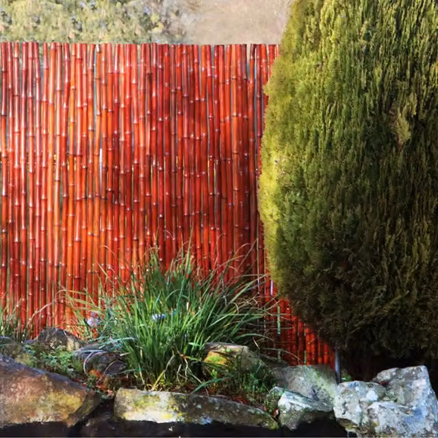 Primrose Woven Bamboo Screening Mat, Red, W: 190 cm, H: 180 cm