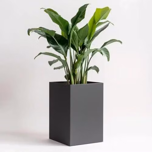 Access Garden Products Galvanised Steel Tall Square Planter, Grey, W/D/H: 25 x 25 x 50 cm – 3