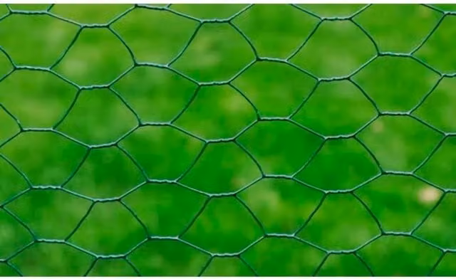 Berkfield Home Galvanised Steel Chicken Wire Fence with Green PVC Coating 25 x 0.5 m