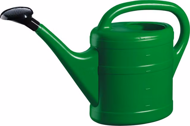 Green Wash Essential Medium 5L Outdoor Watering Can in Green and Black