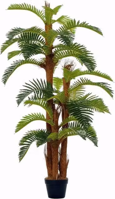 Kelvenix Artificial Fern Tree in Green, Height: 150 cm