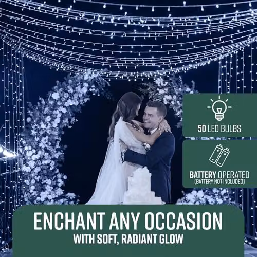 GloBrite 50 LED Battery Operated Cool White Fairy String Lights with Remote Control – 2