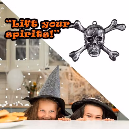 VFM e-Store Silver Skull and Crossbones Halloween Wall Decorations – 7