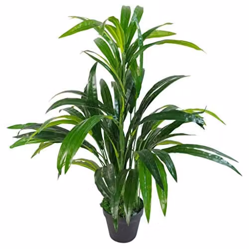 Leaf Design UK Realistic Artificial Green Potted Plant with Gold Pot, H 65 cm x W 40 cm x D 40 cm
