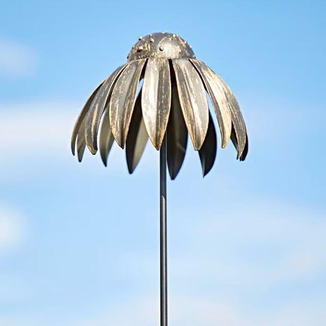 Paper High Black Metal Echinacea Flower Garden Stake Decoration