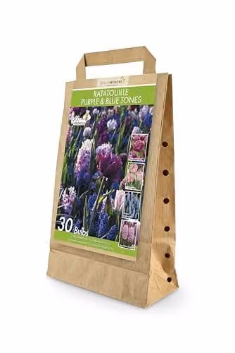 GreenBrokers Ratatouille Spring Flower Bulb Mix with 30 Purple and Blue Tones including Tulipa Margarita, Tulipa Foxtrot, Muscari Armeniacum and Hyacinthus Fondant – 1