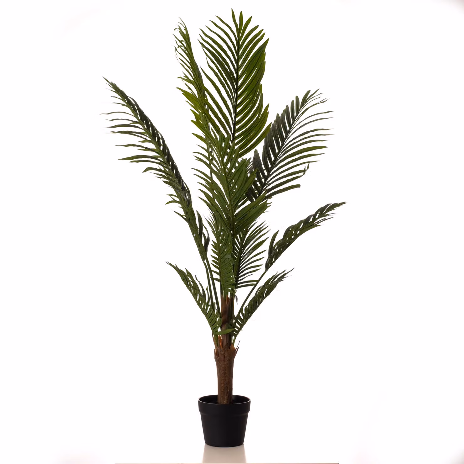 Scottish Everlastings Ltd 120 cm Green Kwai Palm Tree – 2