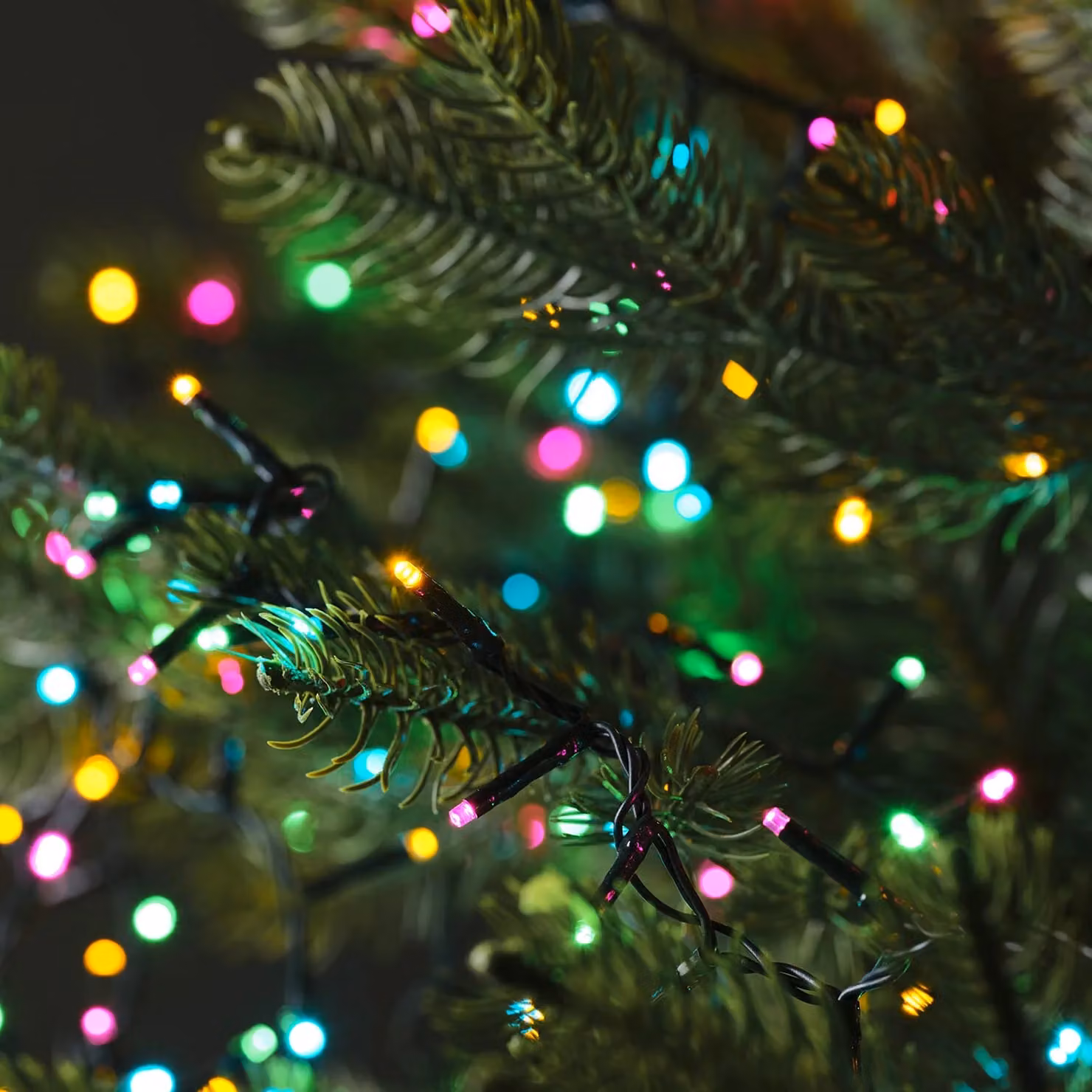1000 Soft Multi Coloured RGB LED Compact Christmas Lights with Timer
