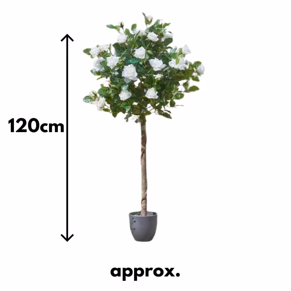 Marco Paul 120cm Freestanding Artificial White Rose Plant in Green – 2