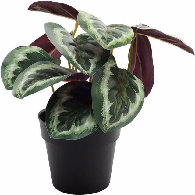 Kingsbury Gifts Artificial Potted Calathea Tabletop Plant in Green