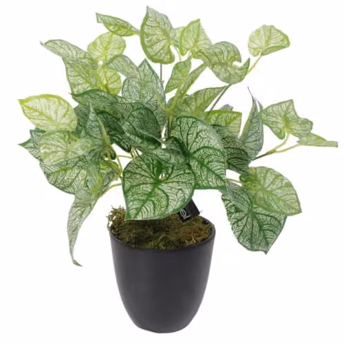 Leaf Design Realistic Artificial Potted Fern Plant, Green, H 40 cm x W 25 cm x D 12 cm