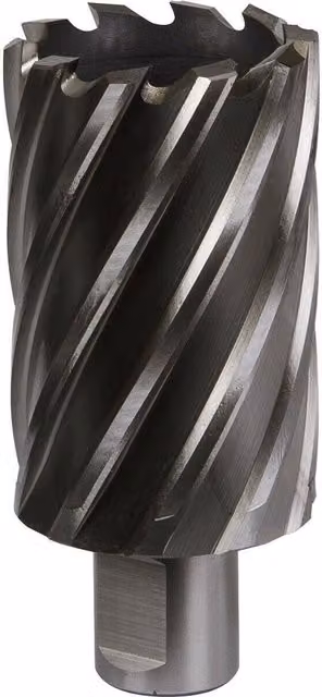 Loops M2 Steel Annular Metal Core Drill Rotabor Cutter with 19mm Shank in Silver