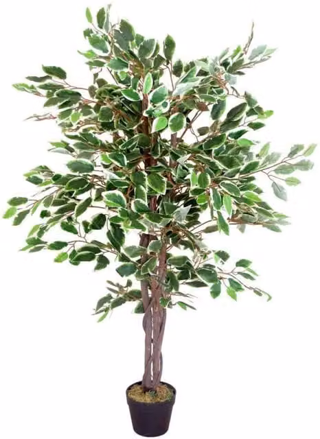 Leaf Realistic Artificial Variegated Ficus Tabletop Tree in Green