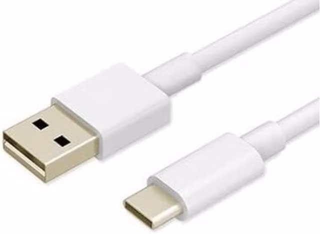 Livingandhome USB-C Charging and Data Cable, White