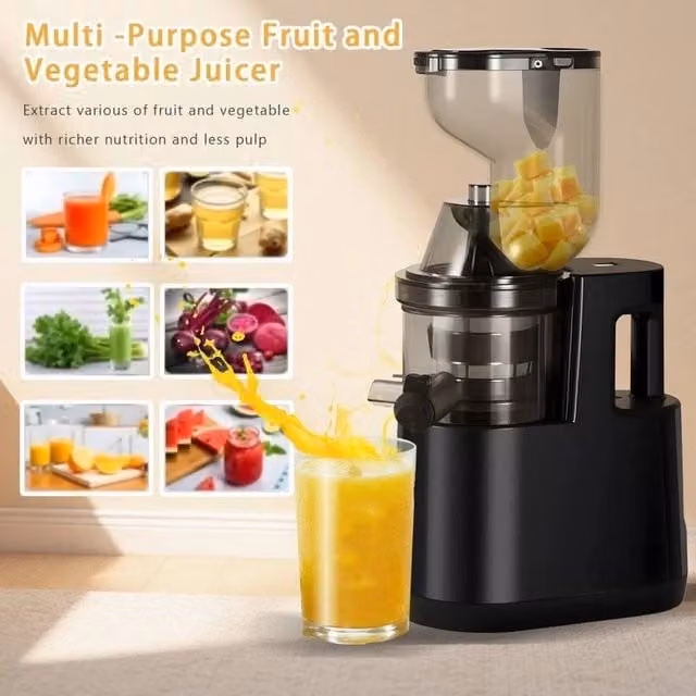 NESTLUNE Cold Press Slow Masticating Fruit Juicer in Black