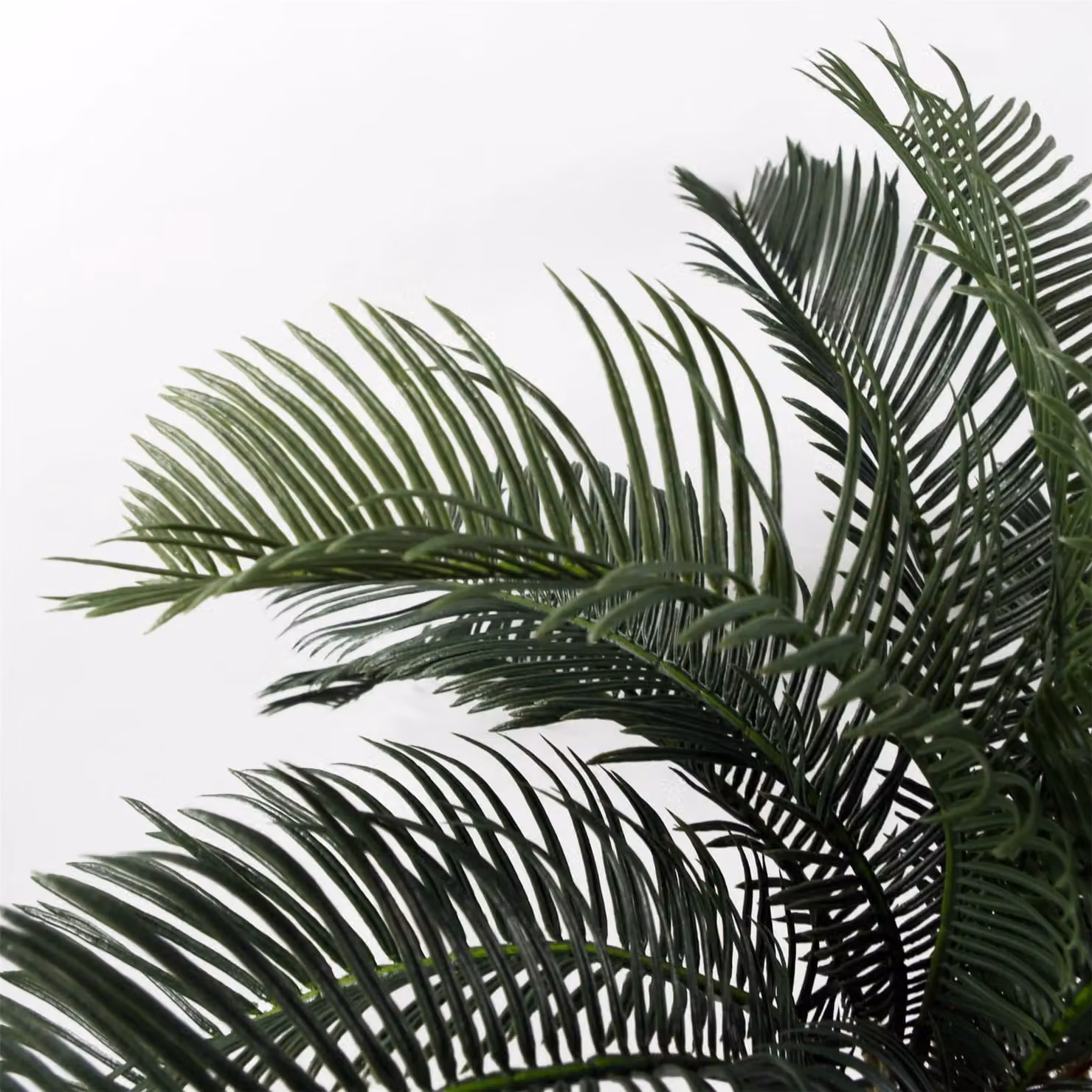 Botanik Green Potted Artificial Palm Tropical Tabletop Plant, Height: 60 cm – 3