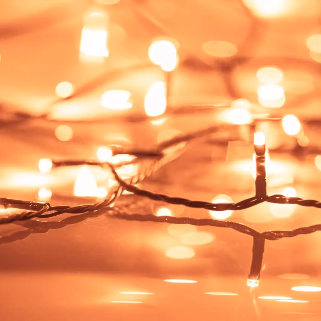 Berkfield Home Warm White LED String Light with 150 LEDs, 15 m, PVC – 3