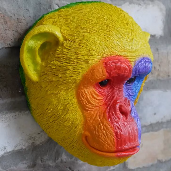 Gifts Direct 2 U Rainbow Monkey Head Multicolour Plastic Wall Ornament – 2