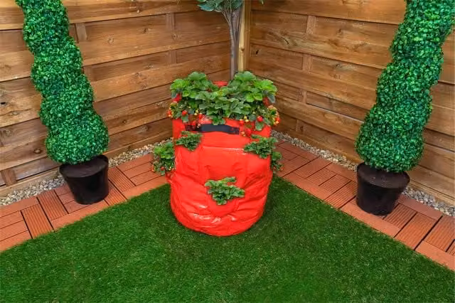 St Helens Home & Garden Red Strawberry Grow Bag Planter, 48L – 1