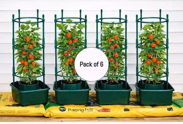 Spetlek 6-Pack Green Tomato Grow Bags with Support Trellis for Vegetable Gardens