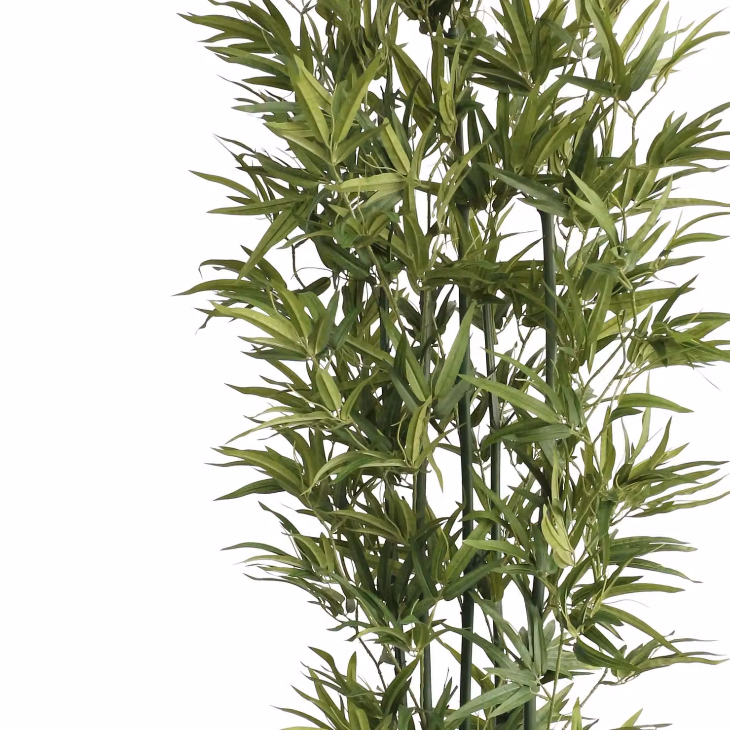 Leaf UK Natural Green Artificial Bamboo Tree, Height: 180 cm – 2
