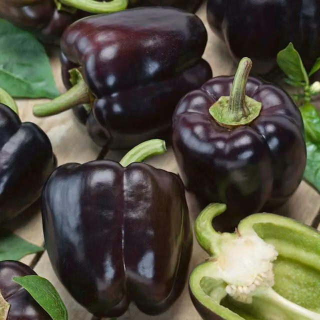 Marshalls Garden Sweet Cardinal F1 Pepper Vegetable Seeds