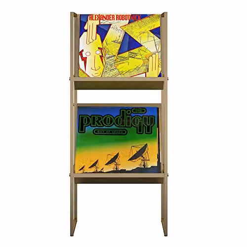 Novogratz Helix Gold Metal Vinyl Record Storage Unit – 1