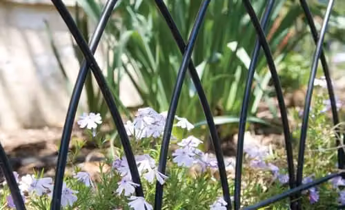 Primrose Gothic Style Arch Metal Garden Edging in Black, 60cm – 2