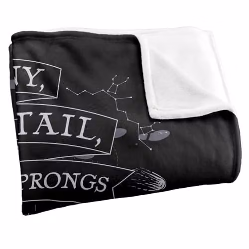 Warner Bros. Harry Potter Proud Marauders Super Soft Fleece Throw Blanket, Multicolour, W: 152.4 cm x L: 152.4 cm – 2