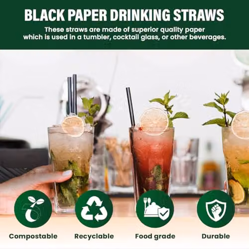 ECONX Black Paper Straws, 20.32 cm, Pack of 250 – 3