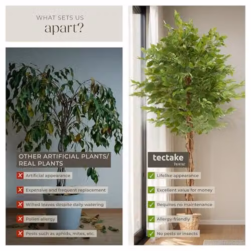 tectake Artificial Ficus Tree with Real Wood Trunk and Green Leaves, Height: 180 cm – 4