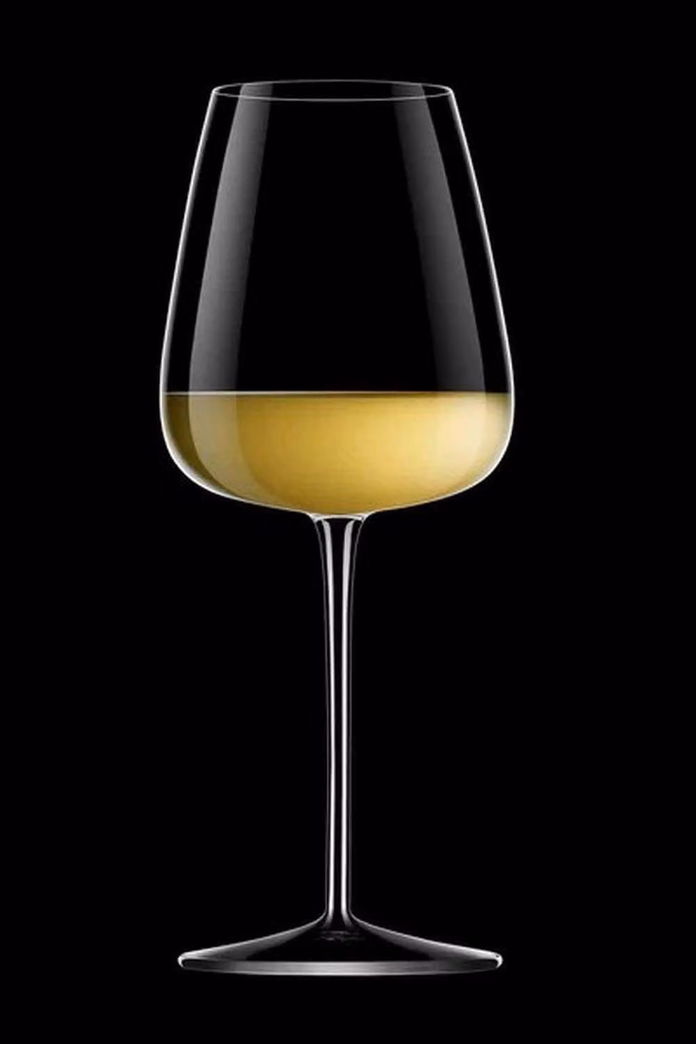 Meyer Talismano Chardonnay Wine Glass, 450ml, Transparent – 2
