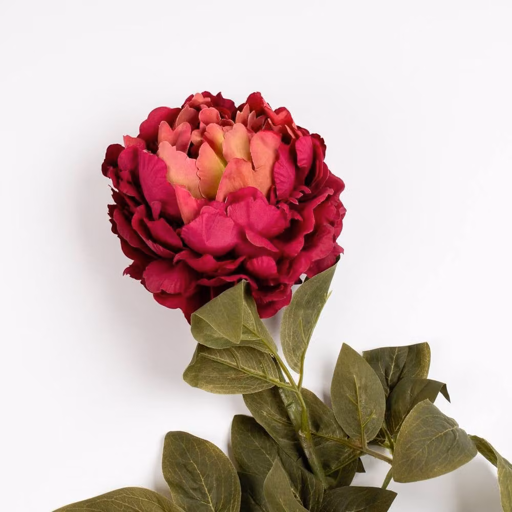 Scottish Everlastings Ltd Pink Fuchsia Peony Stem Set of 3, Height: 73 cm – 3