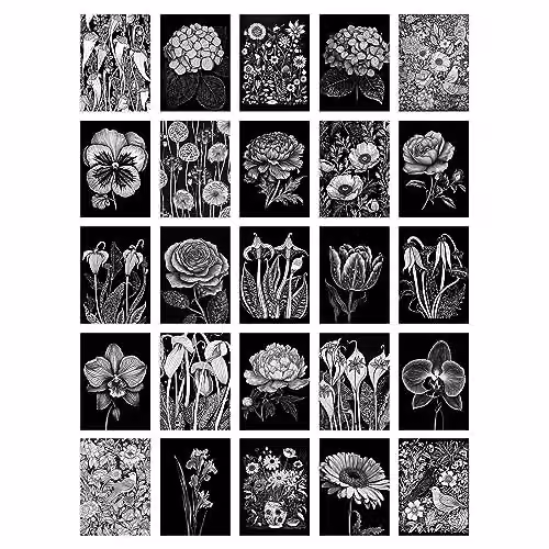 Artery8 50 Piece Black and White Floral Aesthetic Collage Kit Wall Art Prints, W: 10.5 cm, H: 14.8 cm