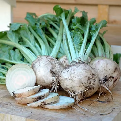 Thompson and Morgan White Beetroot Albina Vereduna Seeds, Approx. 250 Seeds