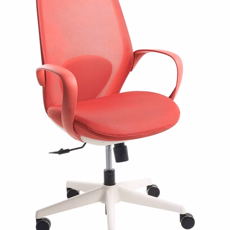 Wyld and Coco Red Fabric Mesh Task Chair with Armrests and 360 Degree Swivel