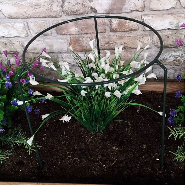 Tom Chambers Urban Metal Herbaceous Garden Plant Support Ring, Green, W: 30 cm, H: 50 cm