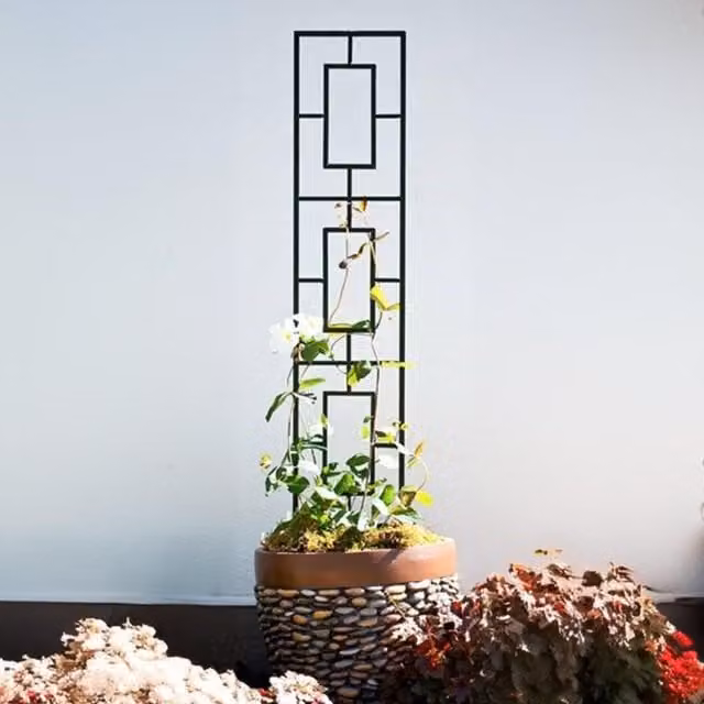 Primrose Black Metal Rectangular Contemporary Pot Trellis Support, Height: 116 cm